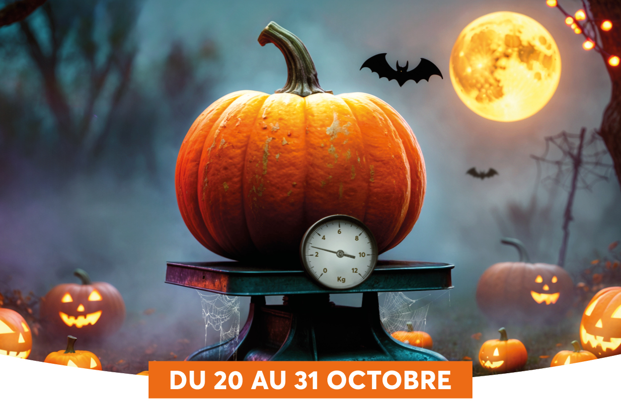 Limage montre une grande citrouille pose sur une balance ancienne, entoure de petites citrouilles lanternes dans une ambiance nocturne brumeuse et lgrement effrayante. Un tmoin de temps, comme un cadran ou cadran de balance, est plac sous la citrouille, ajoutant une touche vintage  la scne dHalloween. Le ciel est nocturne avec une lune trs lumineuse et des chauves-souris, renforant le thme Halloween et le texte orange DU 20 AU 31 OCTOBRE en bas.